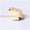 This Frog Statue is a part of the decor-accessories collection, click to learn more about it