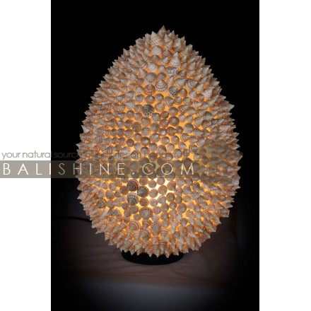Balishine: Your natural source of indonesian handicraft presents in its Home Decor collection the Lamp:13DUL156421:This lamp is produced in Indonesia made from resin with natural shell.  For electric fitting please contact us
