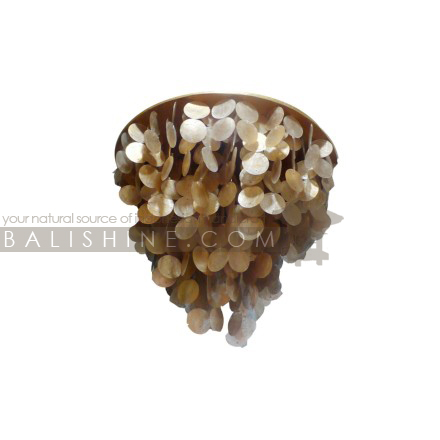 Balishine: Your natural source of indonesian handicraft presents in its Home Decor collection the Wall Fitting:13DAA155707:This wall fitting made in Bali from shell.  For electric fitting please contact us