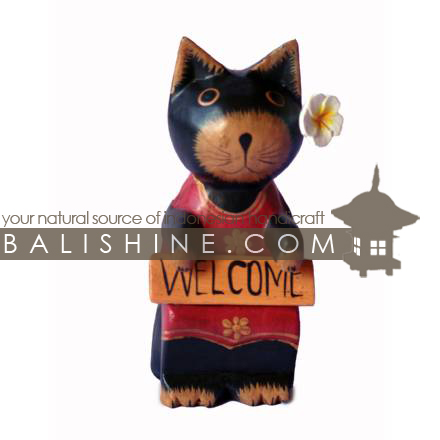 Balishine: Your natural source of indonesian handicraft presents in its Various collection the Funny Handicraft:415TOS7658:This handicraft is produced in Bali made from albesia wood.  Full color